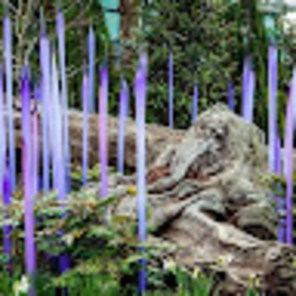 Meet your Posher, Janelle - Picture 1 of 1